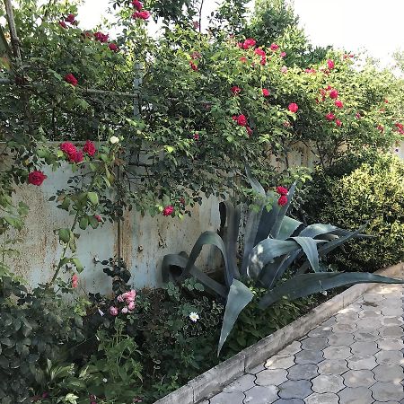 Bajo Guest House كوتايسي المظهر الخارجي الصورة